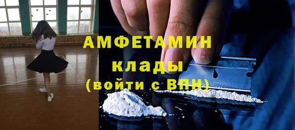 прущие грибы Щигры