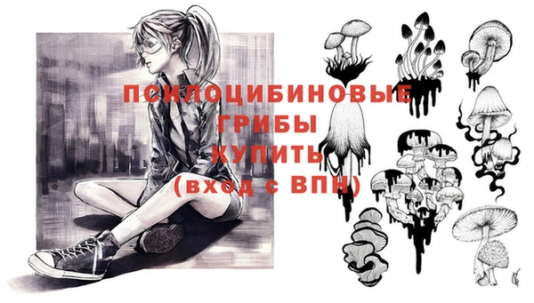 стафф Заволжск