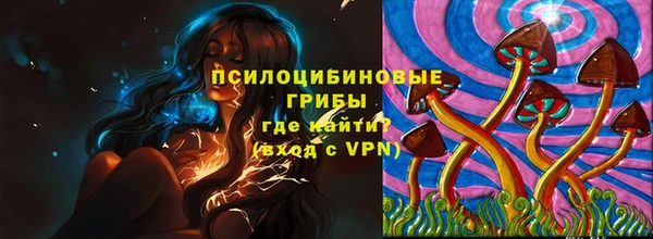 стафф Заволжск