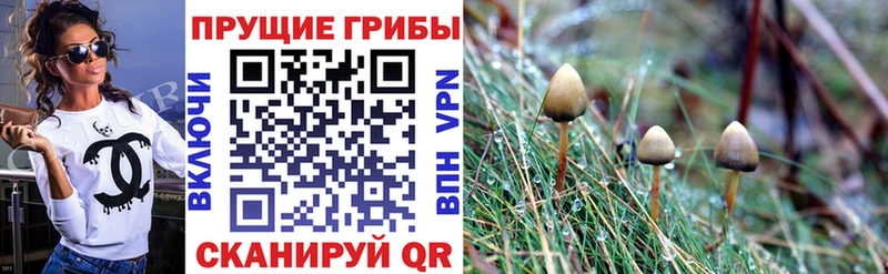 Галлюциногенные грибы GOLDEN TEACHER наркотики Боготол